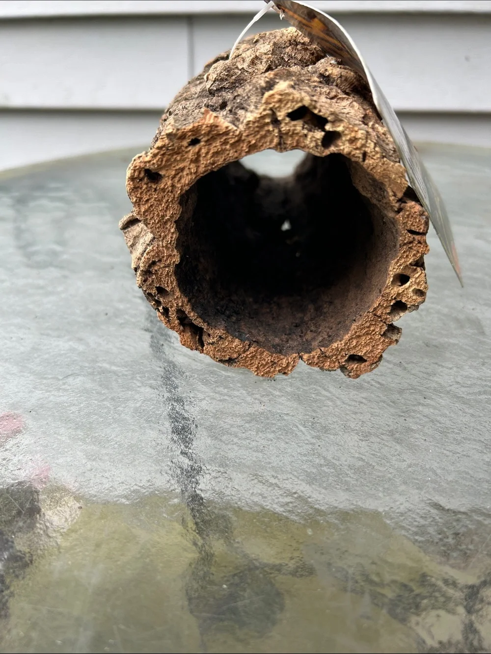 Zoo Med natural cork